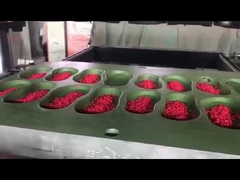 Wysokiej jakości materiał EVA Kolorowe granule pellety Produkcja butów